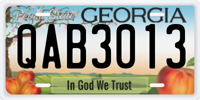 GA license plate QAB3013