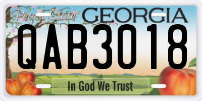 GA license plate QAB3018
