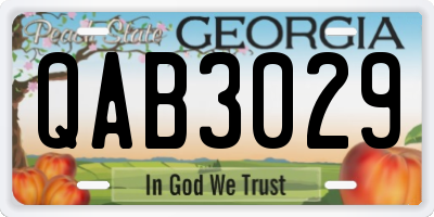 GA license plate QAB3029