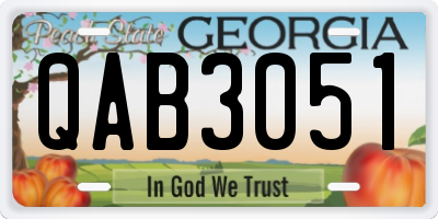 GA license plate QAB3051