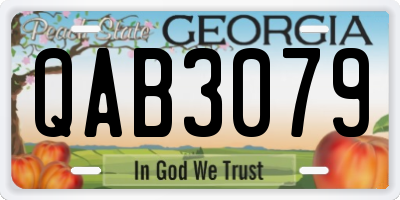 GA license plate QAB3079