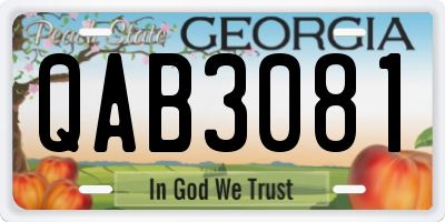 GA license plate QAB3081