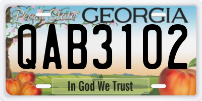 GA license plate QAB3102
