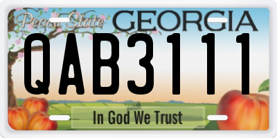 GA license plate QAB3111