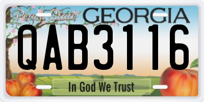 GA license plate QAB3116