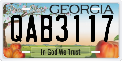 GA license plate QAB3117
