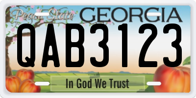 GA license plate QAB3123