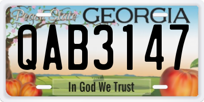 GA license plate QAB3147