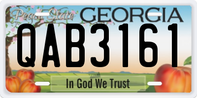 GA license plate QAB3161