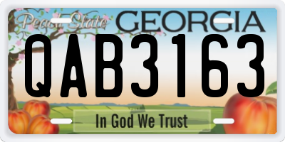 GA license plate QAB3163