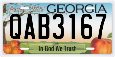 GA license plate QAB3167