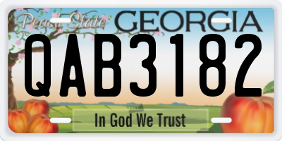 GA license plate QAB3182