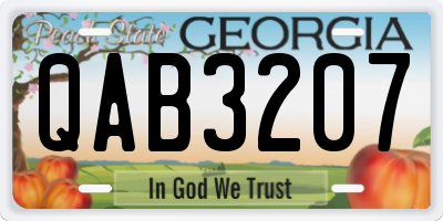 GA license plate QAB3207