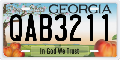 GA license plate QAB3211