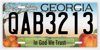 GA license plate QAB3213