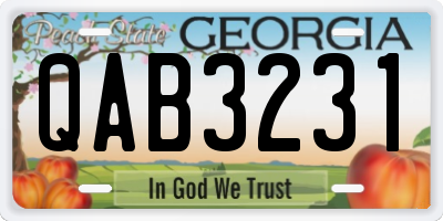 GA license plate QAB3231