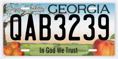 GA license plate QAB3239