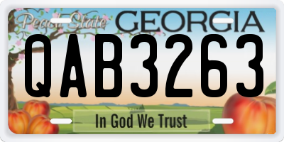 GA license plate QAB3263
