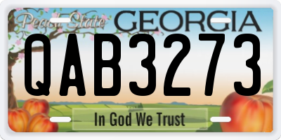 GA license plate QAB3273