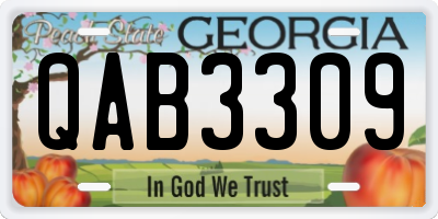 GA license plate QAB3309