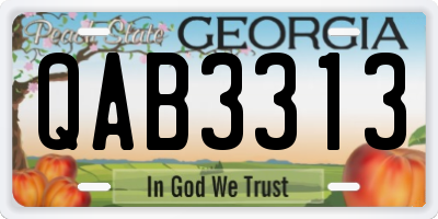 GA license plate QAB3313