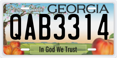GA license plate QAB3314