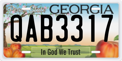 GA license plate QAB3317
