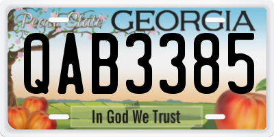 GA license plate QAB3385