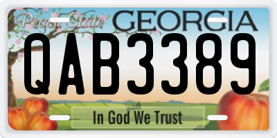 GA license plate QAB3389