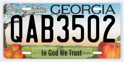 GA license plate QAB3502