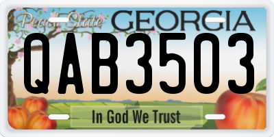 GA license plate QAB3503