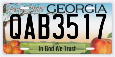 GA license plate QAB3517