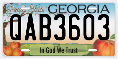 GA license plate QAB3603