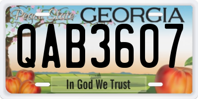 GA license plate QAB3607