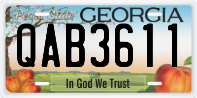 GA license plate QAB3611