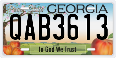 GA license plate QAB3613