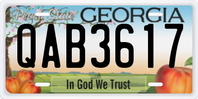 GA license plate QAB3617