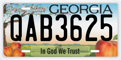GA license plate QAB3625