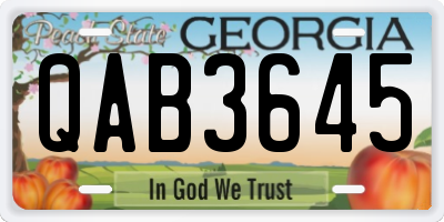 GA license plate QAB3645