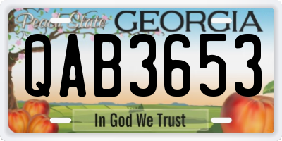 GA license plate QAB3653