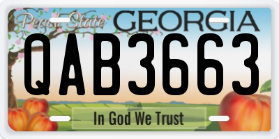 GA license plate QAB3663