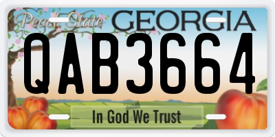 GA license plate QAB3664