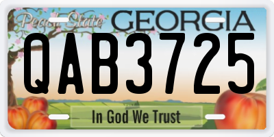 GA license plate QAB3725