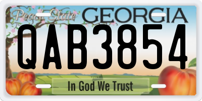 GA license plate QAB3854