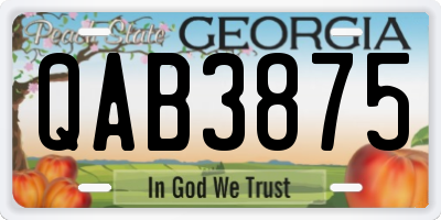 GA license plate QAB3875