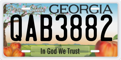 GA license plate QAB3882