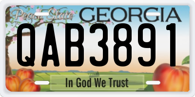 GA license plate QAB3891