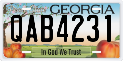 GA license plate QAB4231