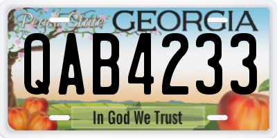 GA license plate QAB4233