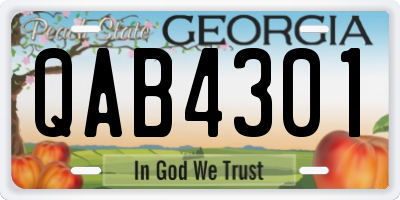 GA license plate QAB4301